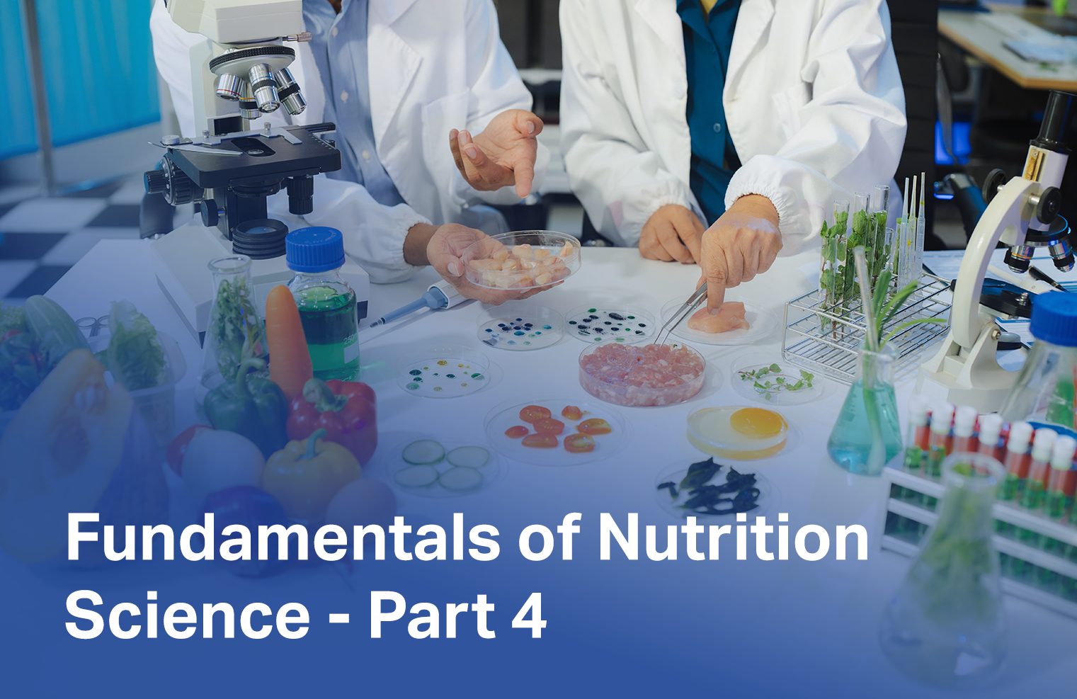 Fundamentals of Nutrition Science - Part 4